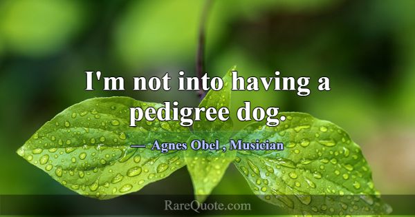 I'm not into having a pedigree dog.... -Agnes Obel