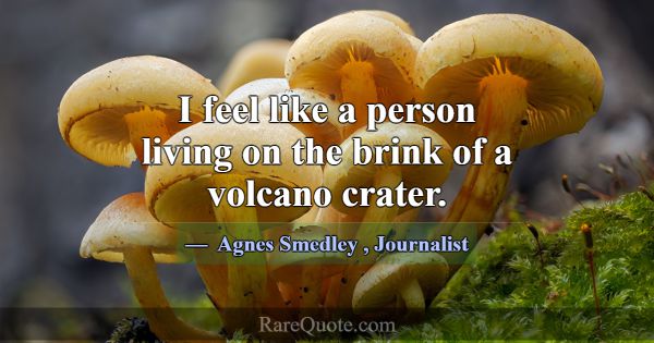 I feel like a person living on the brink of a volc... -Agnes Smedley