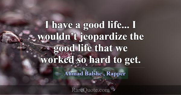 I have a good life... I wouldn't jeopardize the go... -Ahmad Balshe