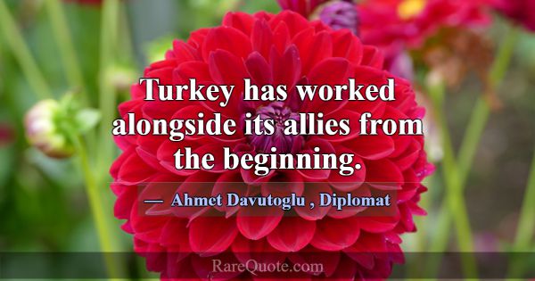 Turkey has worked alongside its allies from the be... -Ahmet Davutoglu