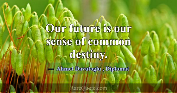 Our future is our sense of common destiny.... -Ahmet Davutoglu
