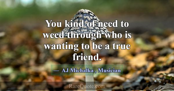 You kind of need to weed through who is wanting to... -AJ Michalka