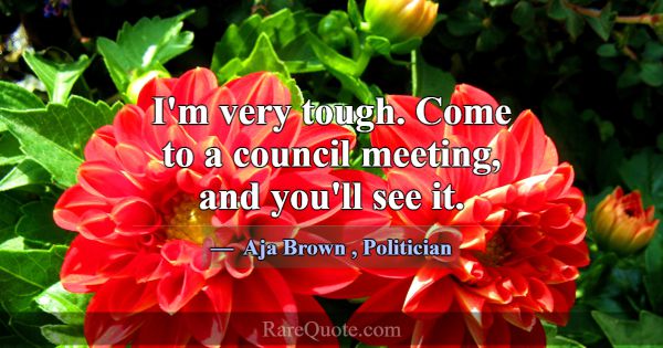 I'm very tough. Come to a council meeting, and you... -Aja Brown
