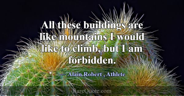 All these buildings are like mountains I would lik... -Alain Robert