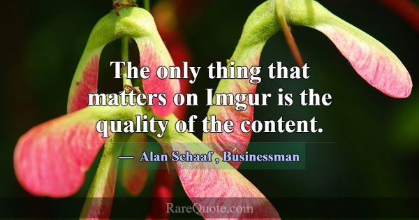 The only thing that matters on Imgur is the qualit... -Alan Schaaf