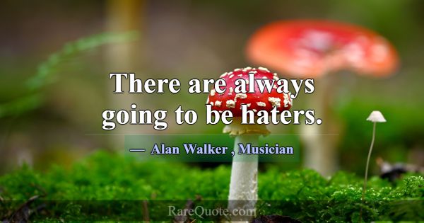 There are always going to be haters.... -Alan Walker