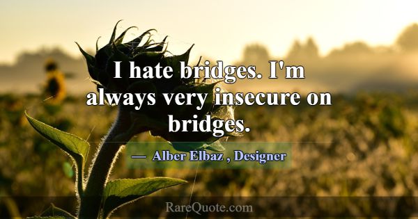 I hate bridges. I'm always very insecure on bridge... -Alber Elbaz
