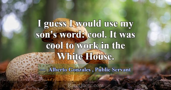 I guess I would use my son's word: cool. It was co... -Alberto Gonzales