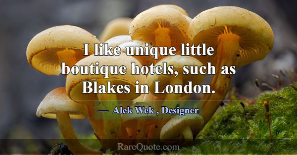 I like unique little boutique hotels, such as Blak... -Alek Wek
