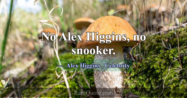 No Alex Higgins, no snooker.... -Alex Higgins