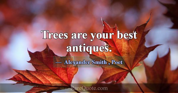 Trees are your best antiques.... -Alexander Smith