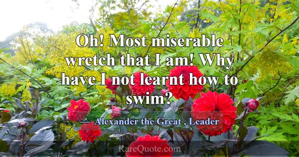 Oh! Most miserable wretch that I am! Why have I no... -Alexander the Great