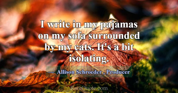 I write in my pajamas on my sofa surrounded by my ... -Allison Schroeder