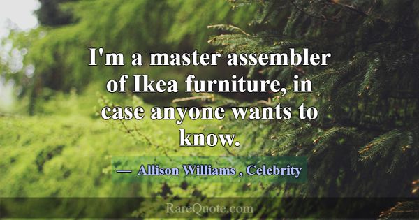 I'm a master assembler of Ikea furniture, in case ... -Allison Williams