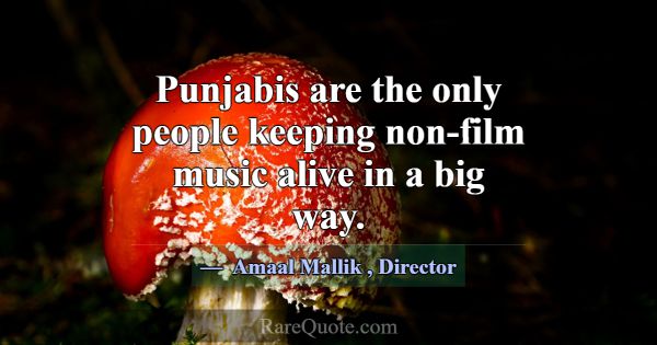 Punjabis are the only people keeping non-film musi... -Amaal Mallik