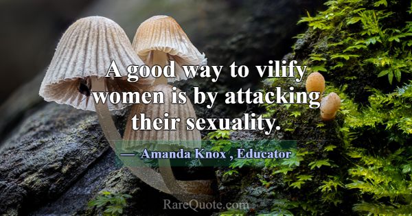 A good way to vilify women is by attacking their s... -Amanda Knox