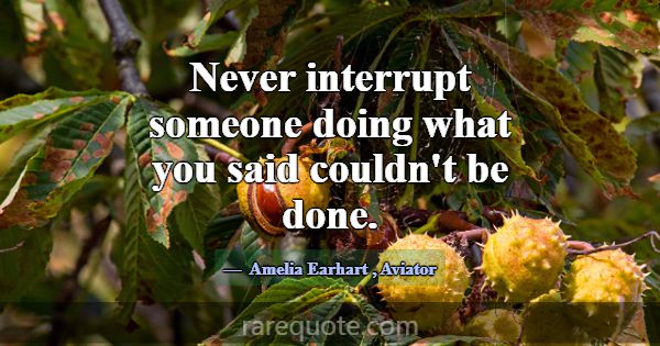 Never interrupt someone doing what you said couldn... -Amelia Earhart