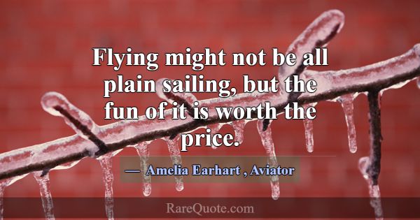 Flying might not be all plain sailing, but the fun... -Amelia Earhart