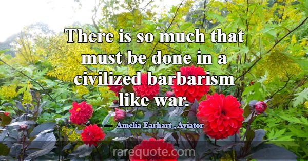 There is so much that must be done in a civilized ... -Amelia Earhart