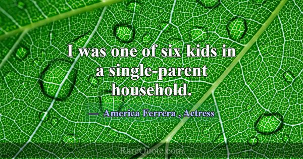 I was one of six kids in a single-parent household... -America Ferrera
