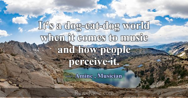 It's a dog-eat-dog world when it comes to music an... -Amine