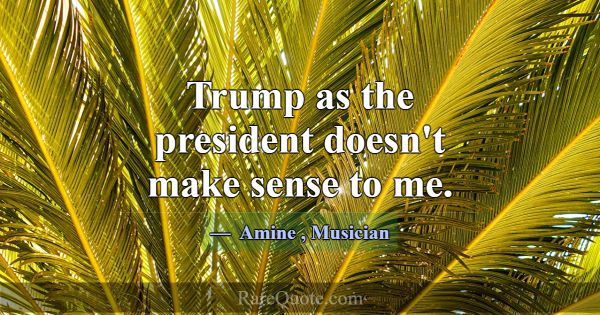 Trump as the president doesn't make sense to me.... -Amine