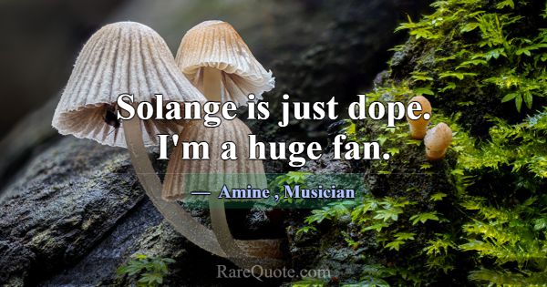 Solange is just dope. I'm a huge fan.... -Amine
