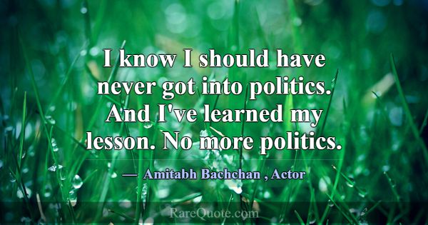 I know I should have never got into politics. And ... -Amitabh Bachchan