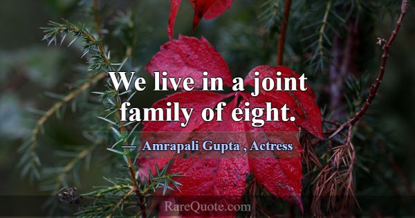 We live in a joint family of eight.... -Amrapali Gupta