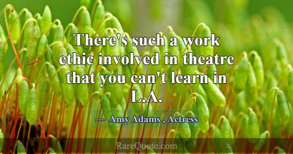 There's such a work ethic involved in theatre that... -Amy Adams