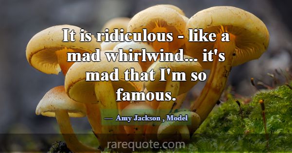 It is ridiculous - like a mad whirlwind... it's ma... -Amy Jackson