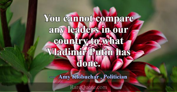 You cannot compare any leaders in our country to w... -Amy Klobuchar