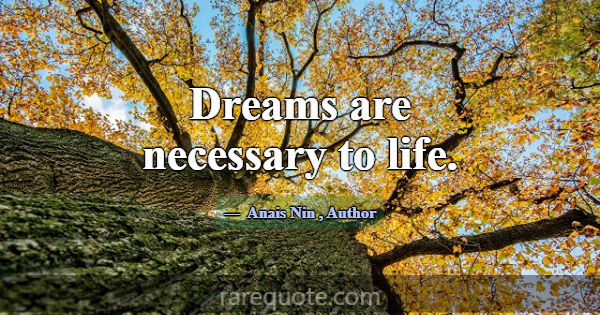 Dreams are necessary to life.... -Anais Nin