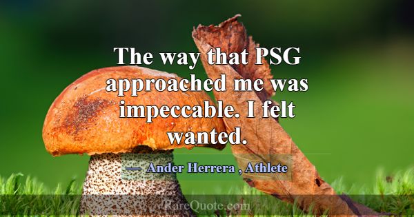 The way that PSG approached me was impeccable. I f... -Ander Herrera