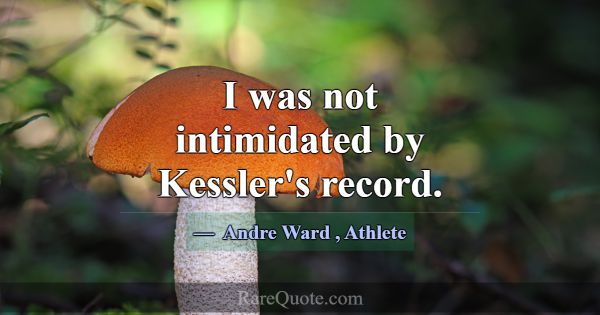 I was not intimidated by Kessler's record.... -Andre Ward
