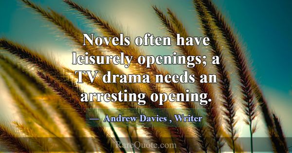 Novels often have leisurely openings; a TV drama n... -Andrew Davies