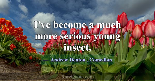 I've become a much more serious young insect.... -Andrew Denton