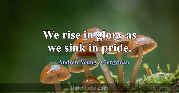 We rise in glory as we sink in pride.... -Andrew Young