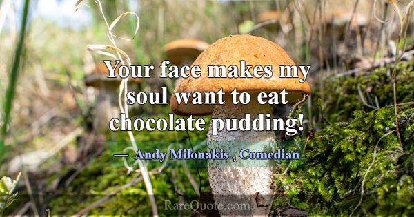Your face makes my soul want to eat chocolate pudd... -Andy Milonakis