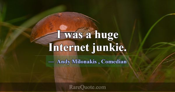 I was a huge Internet junkie.... -Andy Milonakis