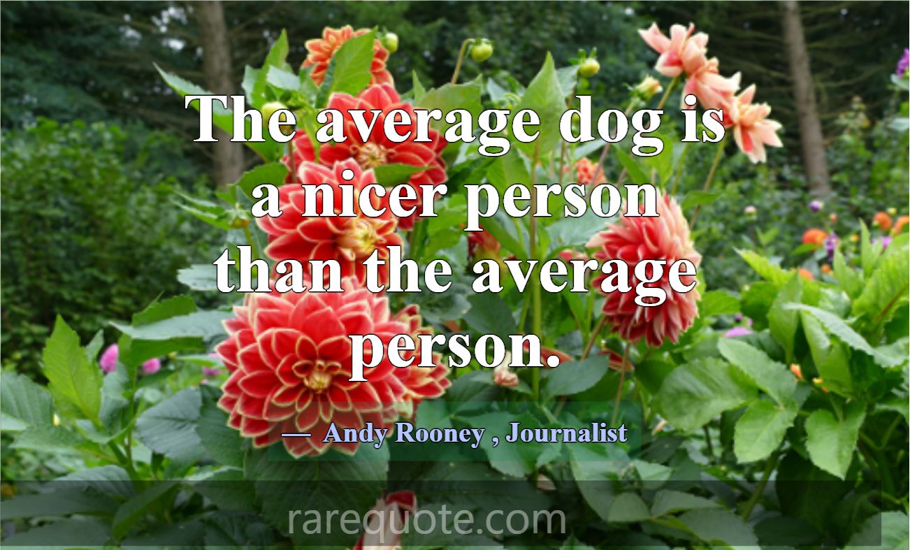 The average dog is a nicer person than the average... -Andy Rooney