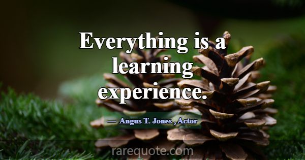 Everything is a learning experience.... -Angus T. Jones