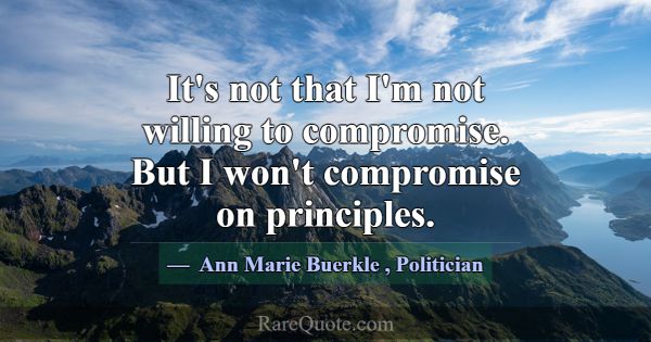 It's not that I'm not willing to compromise. But I... -Ann Marie Buerkle