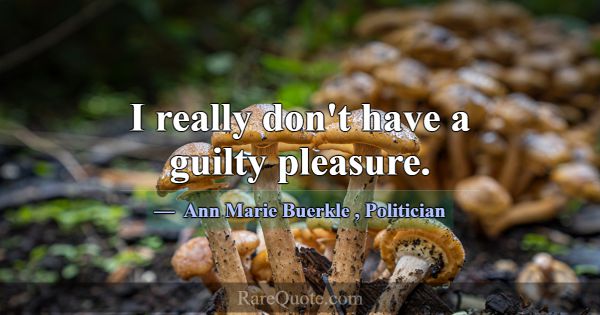 I really don't have a guilty pleasure.... -Ann Marie Buerkle