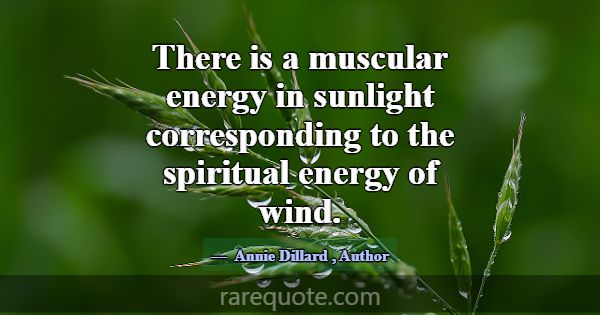 There is a muscular energy in sunlight correspondi... -Annie Dillard