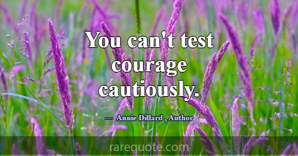 You can't test courage cautiously.... -Annie Dillard