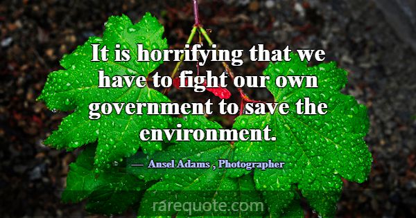 It is horrifying that we have to fight our own gov... -Ansel Adams
