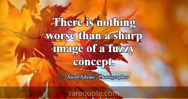 There is nothing worse than a sharp image of a fuz... -Ansel Adams