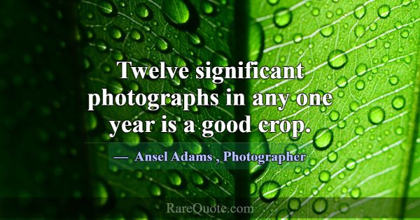 Twelve significant photographs in any one year is ... -Ansel Adams