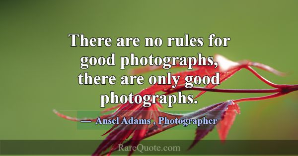 There are no rules for good photographs, there are... -Ansel Adams